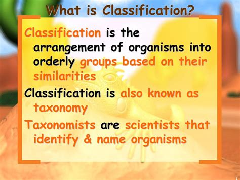 What Is Classification Deals