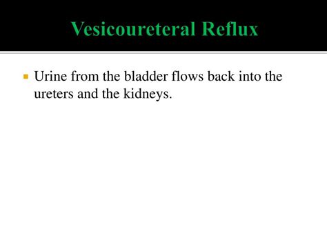 Ppt Vesicoureteral Reflux Powerpoint Presentation Free Download Id