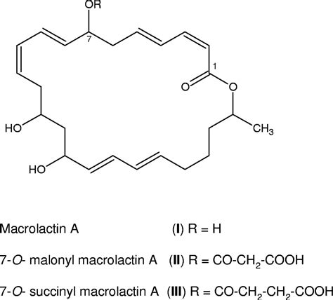 7 O Malonyl Macrolactin A A New Macrolactin Antibiotic From Bacillus