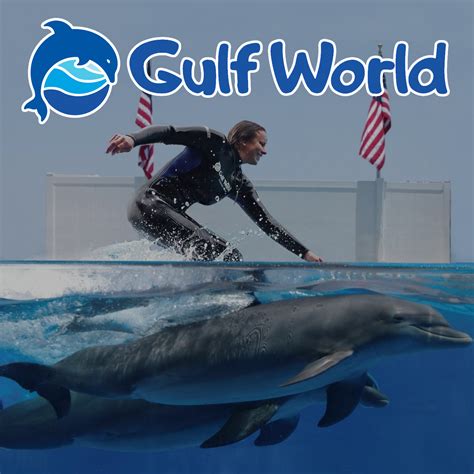 Gulf World Marine Park Ticketing For Less