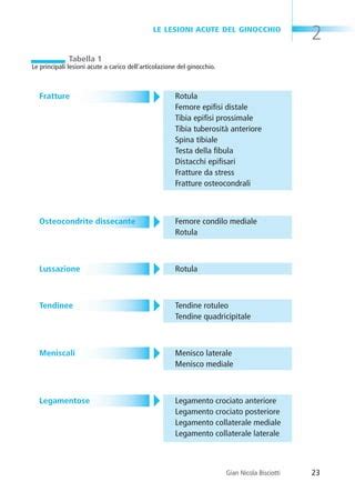 Pagine Da Bisciotti Ginocchio PDF