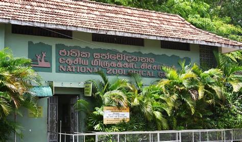 Dehiwala Zoo – Sri Lanka Tours and Travel Blog