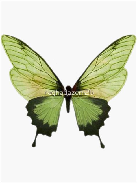 "Aesthetic green butterfly " Sticker for Sale by raghadazem26 | Redbubble