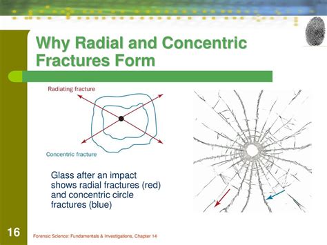 Explain How Glass Is Formed List Some Of The Characteristics Of Glass Ppt Download