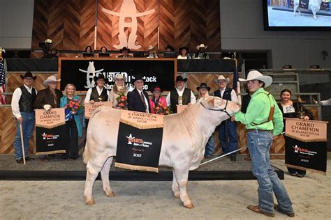 Two Us Led Steers Sell For More Than Us500000 Each Beef Central