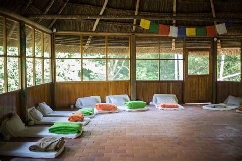 Ayahuasca Retreat Usa Amye Madlen