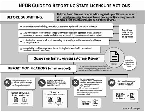 Npdb Guidebook Chapter E Reports Reporting State Licensure And Certification Actions