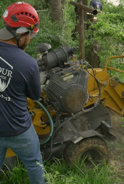 Tree Services Latour Tree Service