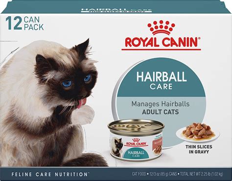 The Best Canine Royal Cat Food Your House