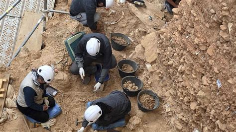 Encuentran En Atapuerca La Cara Del Primer Europeo Con Una Antig Edad