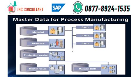 Sap Pp Pppi Master Data Sap Pppi Youtube