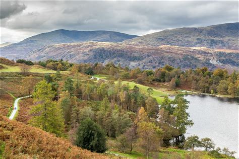 Tarn Hows Walk Coniston Walks Lake District Walks