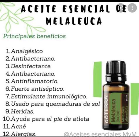 Pin De Teresa Trejo En Doterra En Aceite Aceites Esenciales