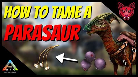 How To Tame A Parasaur Ark Tutorials Youtube