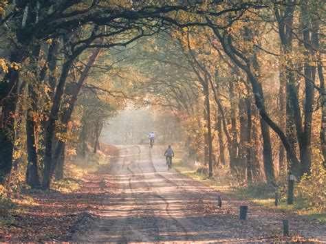 Fietsen In Nederland 6X Tips Voor Fietsvakanties