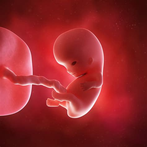 Distacco Di Placenta Che Cos Cosa Comporta Come Si Interviene