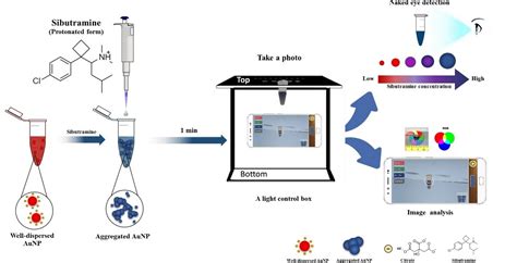 Smartphone Based Colorimetric Detection Using Gold Nanoparticles Of