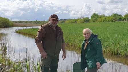 Nutrias Im Heidekreis Vermehren Sich Rasch Jagd Oder Schutz