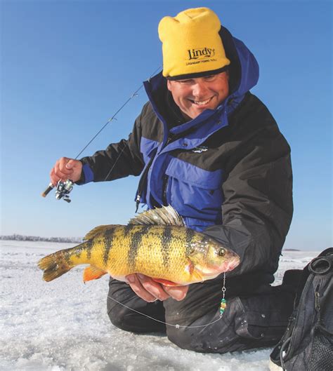 Searching For Giant Yellow Perch Game Fish