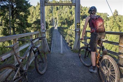 Rotorua Redwoods Tour | MTB trip | New Zealand Mountain Biking