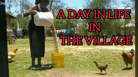 A Day In An African Village Girls Life Ambient Servalcats Youtube