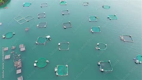 Fish Farm With Cages For Fish And Shrimp Top View Fish Cage For