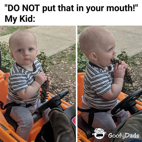 Goofy Memes – GoofyDads