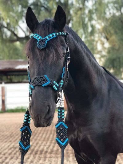 Pingl Par Rmd Sur Paracord Projects Harnachement Photos De Chevaux