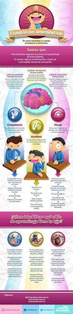 Hola Una Infograf A Sobre Formas De Aprendizaje V A Un Saludo