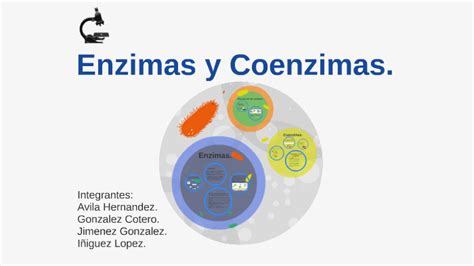 Enzimas Y Coenzimas By Cristian Avila On Prezi