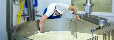 Cheesemaking | St Andrews Farmhouse Cheese Company