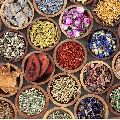 herbal medicines work  mike friddle blog