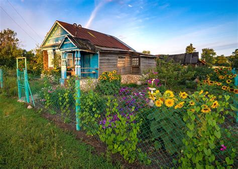 What Is A Russian Dacha What Do Dachas Look Like