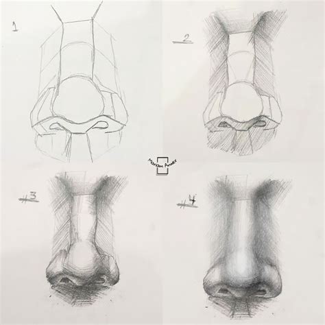 How to draw a nose step by step | Nose drawing, Male noses drawing, Drawings