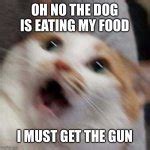 Oh no Cat Meme Generator - Imgflip