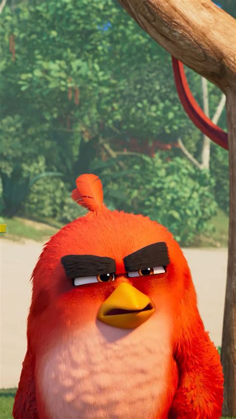 Angry Bird Red Wallpaper