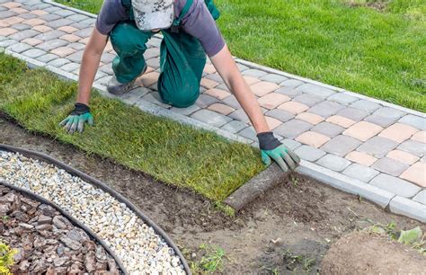 Comment R Ussir Lam Nagement De Votre Jardin Culturia