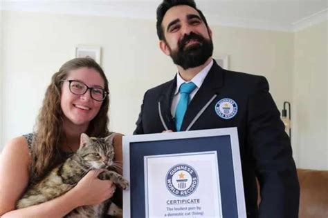 Bella The Cat Breaks The Guinness World Record For Loudest Purr