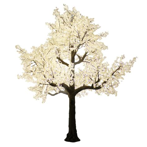 Large White Tree