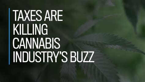 Financial Post Taxes Are Killing Cannabis Industry S Buzz