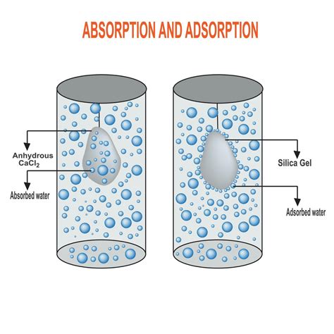 Diferencia Entre Adsorci N Y Absorci N Vector Ilustraci N