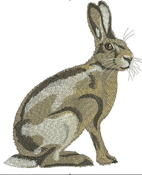 Wild Hare Rabbit Machine Embroidery Design Tested Etsy