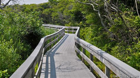 Fire Island National Seashore Watch Hill Nature Trail