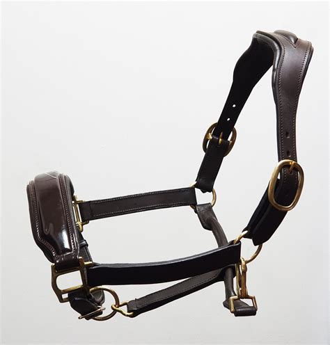Halters / Head Collar – Aces Equine