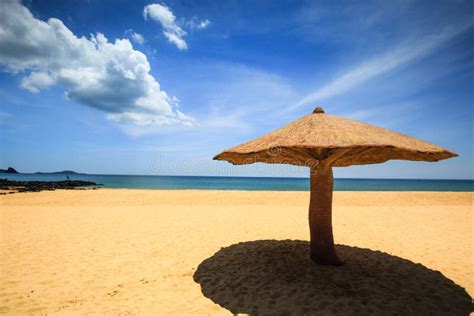 Betonujący Jako Pieczarkowy Parasol Na Plaży Obraz Stock Obraz