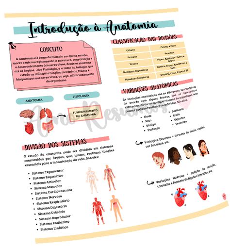 Anatomia Humana Amo Resumos