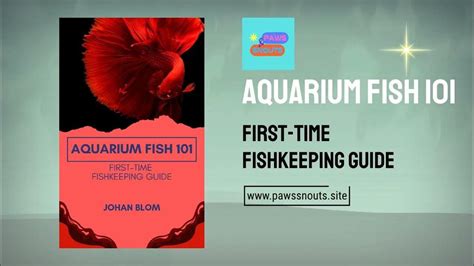 New Aquarium Fish 101 First Time Fishkeeping Guide Out Now