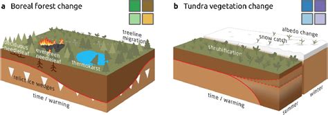 Figure From No Respite From Permafrost Thaw Impacts In Absence Of A