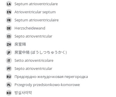 Atrioventricular septum - e-Anatomy - IMAIOS