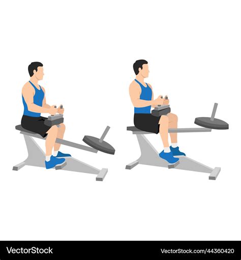 Seated Calf Machine Raises Royalty Free Vector Image